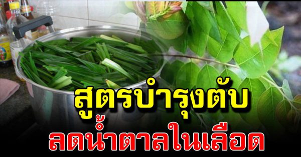 ผัก พื้นบ้ านช่ว ยลด  น้ำตาลในเ ลื อ ด บำรุงตับอ่อน หากินได้ง่าย