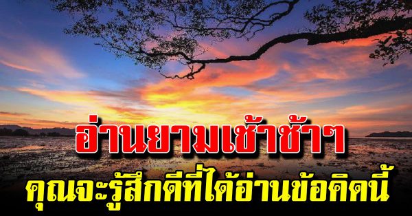 7 ข้อคิดดีๆ บทความที่คนได้อ่าน จะรู้สึกโชคดี