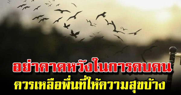 คาดหวังให้น้อยลงและควร เหลือพื้นที่ให้ความสุขบ้าง