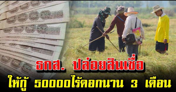 ธนาคารธกส. ปล่อยสินเชื่อ ให้กู้ 50000 ไร้ดอกนาน 3 เดือน